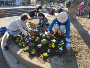 花壇整備活動 地域の人たちと花を植える